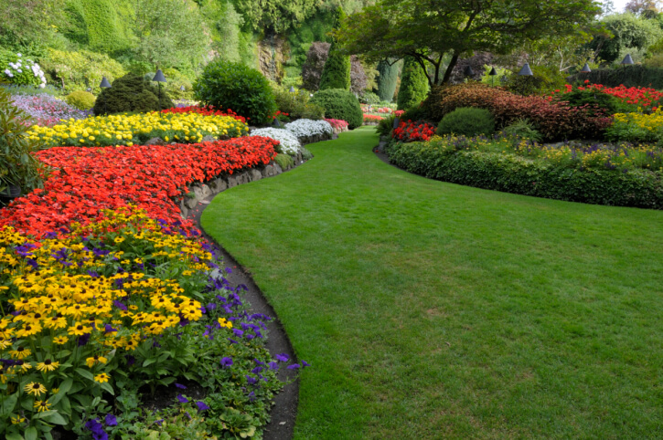 Landscaping & Lawn Care Maintenance