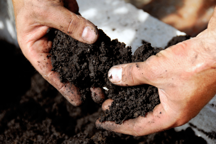 Topsoil