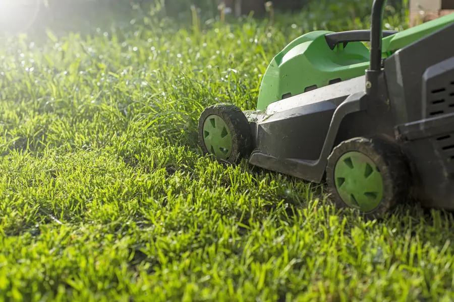 How Mowing Patterns Influence Lawn Aesthetics And Growth in Acworth, GA How Mowing Patterns Influence Lawn Aesthetics And Growth in Acworth, GA
