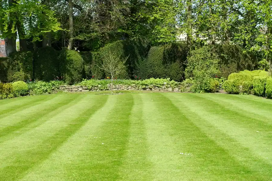 The Importance Of Aeration In Professional Lawn Care in Acworth, GA The Importance Of Aeration In Professional Lawn Care in Acworth, GA