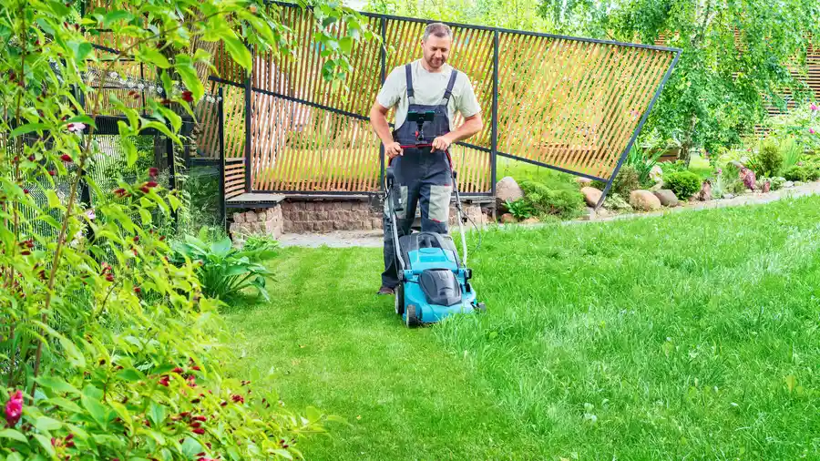The Importance Of Proper Equipment For Lawn Mowing Acworth, GA The Importance Of Proper Equipment For Lawn Mowing Acworth, GA