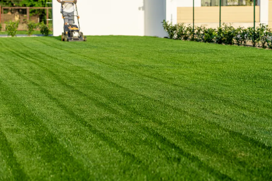 The Importance Of Proper Equipment For Lawn Mowing in Acworth, GA The Importance Of Proper Equipment For Lawn Mowing in Acworth, GA