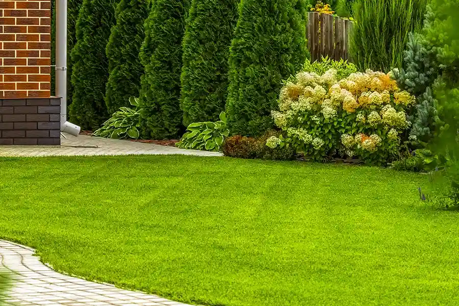 Top-rated Lawn Care Acworth, GA Top-rated Lawn Care Acworth, GA